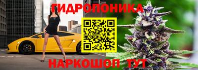 Альфа ПВП Комсомольск-на-Амуре