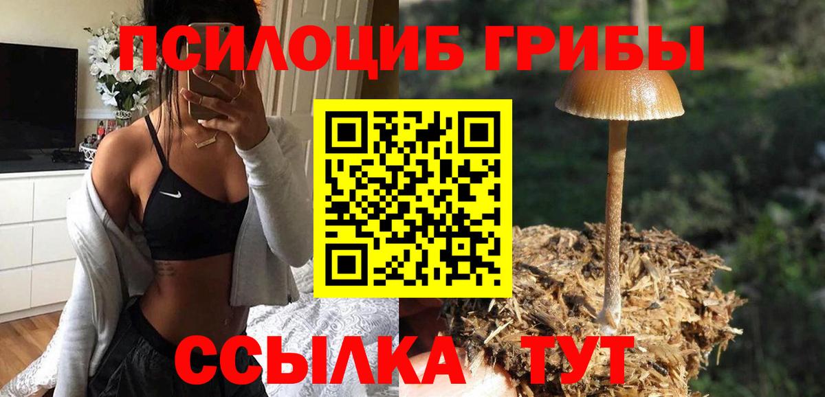 Галлюциногенные грибы Magic Shrooms  Галлюциногенные грибы мухоморы  Кимовск  Вход с VPN 